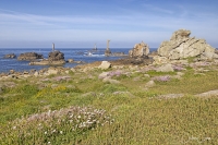  Cdric CAN, Ouessant, Un printemps  la pointe de Pern, 220525 111.jpg
